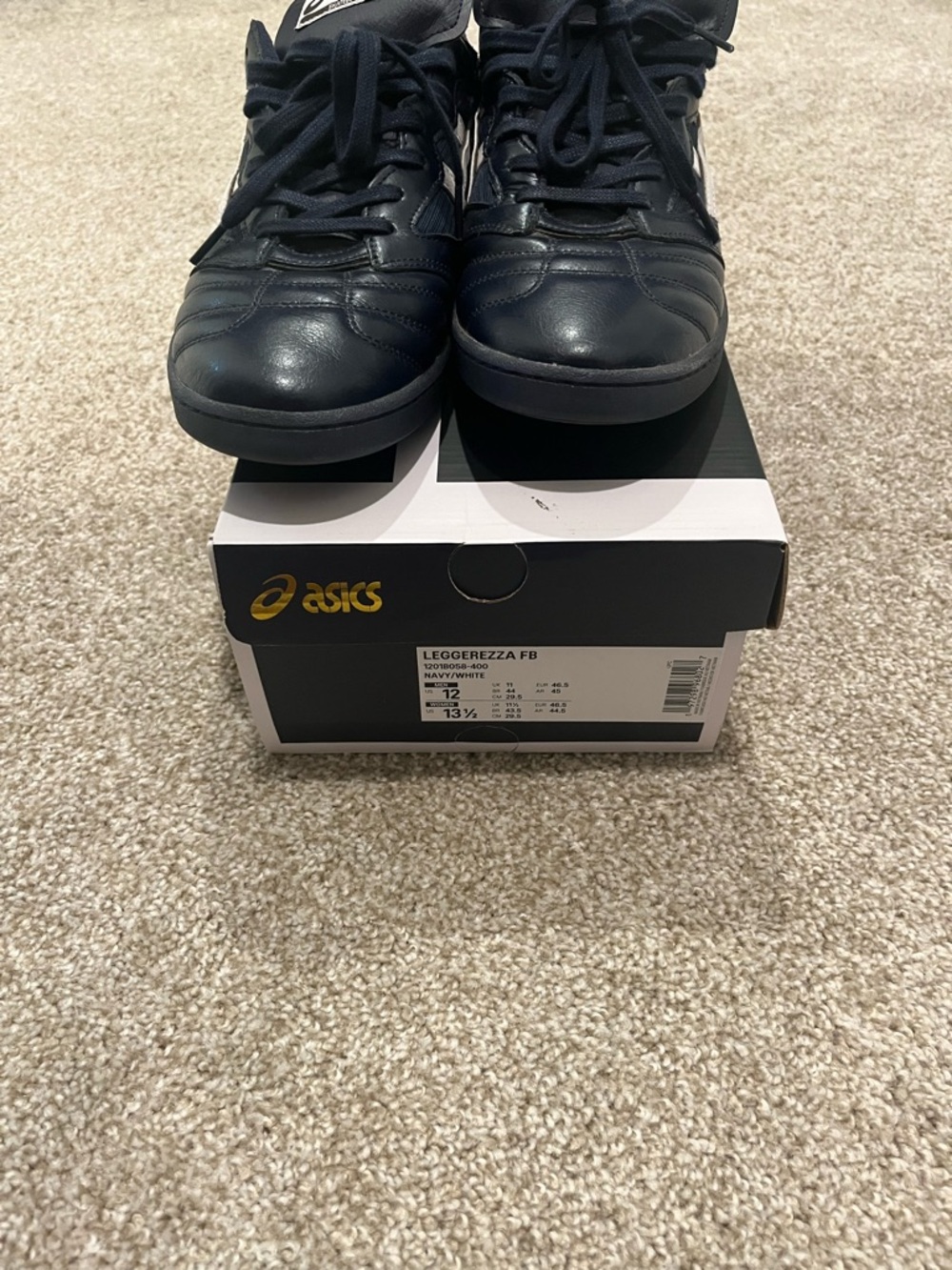 Asics Skateboarding Gino Iannuci Leggerezza FB